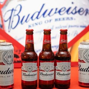 Budweiser Beer
